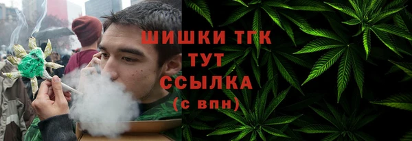 спиды Дмитриев
