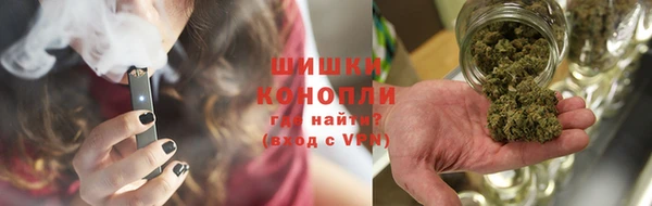 спиды Дмитриев