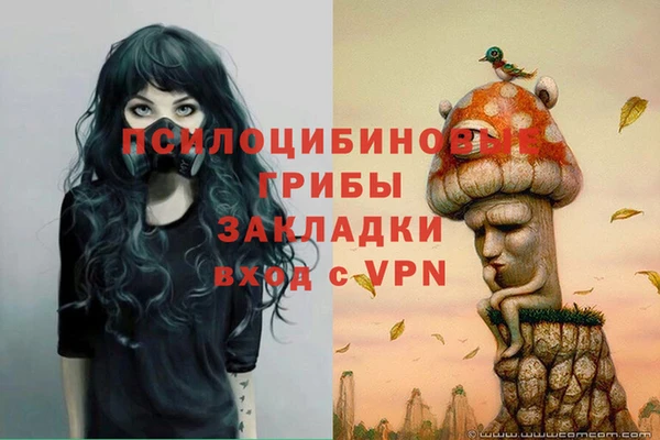 каннабис Дмитровск